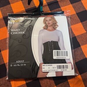 Spirit Halloween Black Adult Waist Cincher